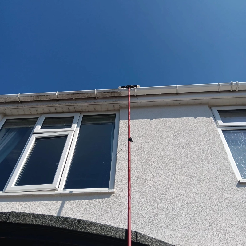 Gutter Cleaning