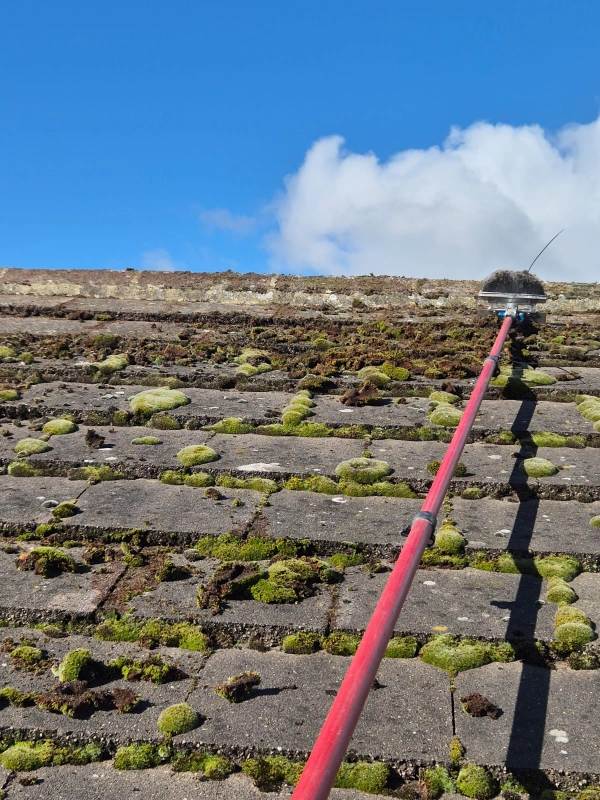Rood Moss Cleaning