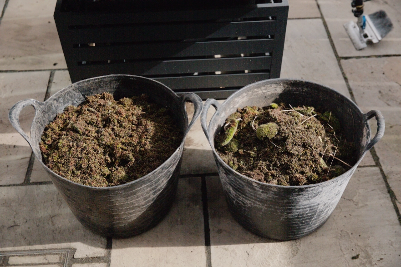 Roof Moss Cleaning