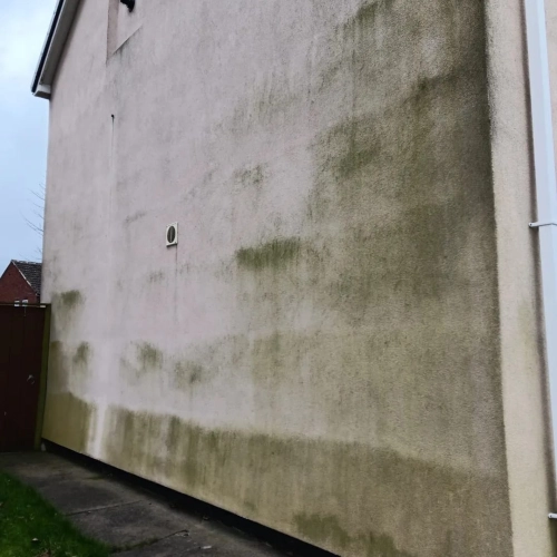 Render Cleaning