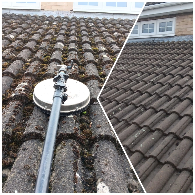Roof Cleaning
